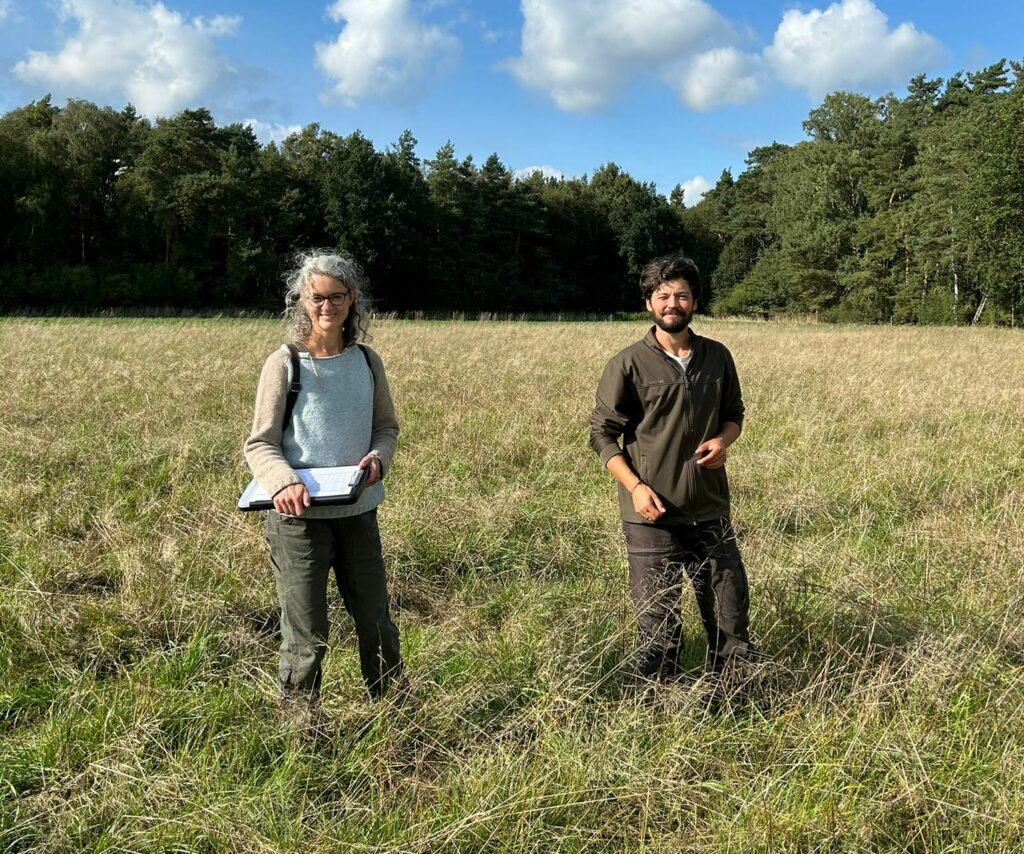 Ökologisches Monitoring, zwei Personen auf eine Weidefläche im hohen Gras